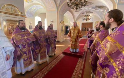 Исполнилось 9 лет вновь созданной в границах Санкт-Петербургской митрополии Выборгской епархии